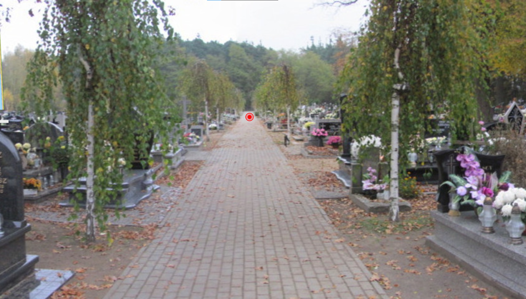 Obraz przedstawiający Cmentarz Franciszkanów