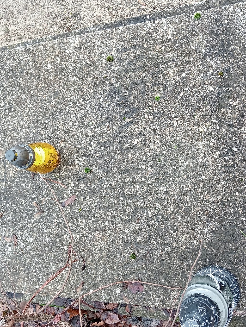 Ignacy Wesołowski 1911 Pakość - Grobonet - Wyszukiwarka osób pochowanych