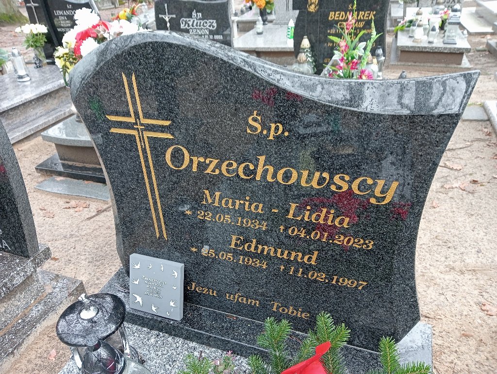 Maria Orzechowska 1934 Pakość - Grobonet - Wyszukiwarka osób pochowanych