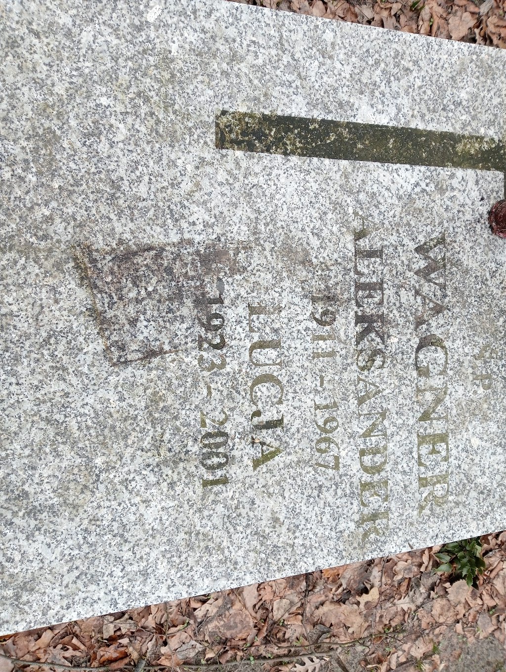 Łucja Wagner 1923 Pakość - Grobonet - Wyszukiwarka osób pochowanych