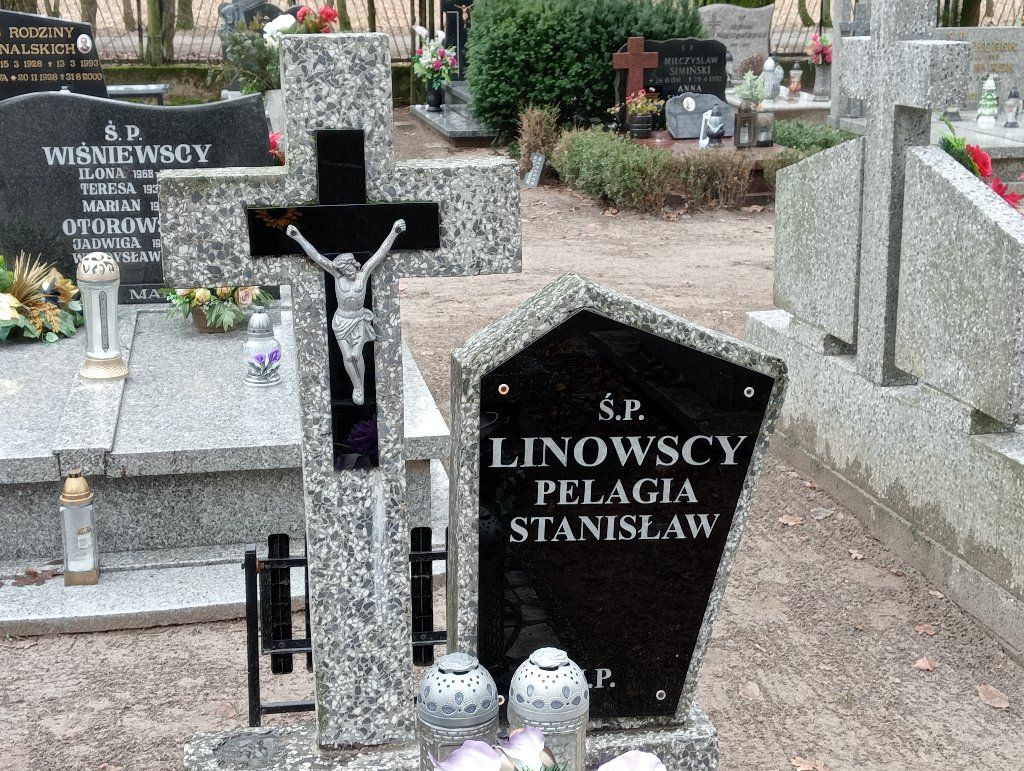 Pelagia Linowska 1916 Pakość - Grobonet - Wyszukiwarka osób pochowanych