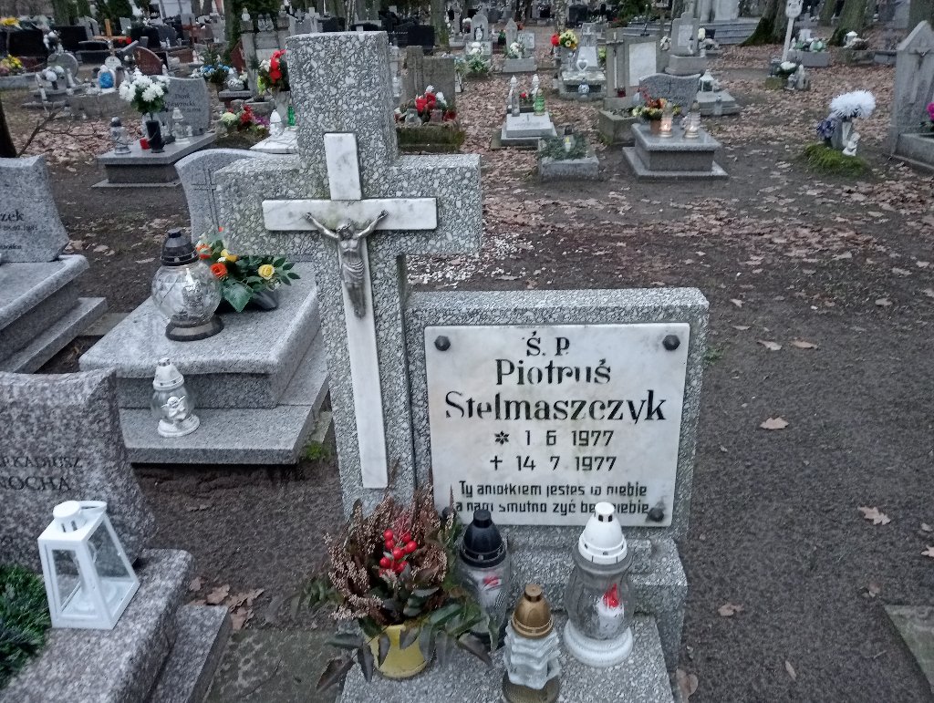 Piotr Stelmaszczyk 1977 Pakość - Grobonet - Wyszukiwarka osób pochowanych