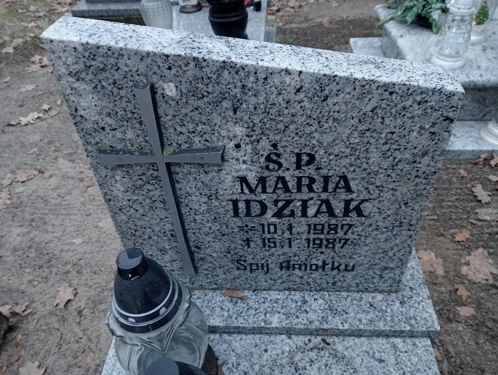 Maria Idzik 1987 Pakość - Grobonet - Wyszukiwarka osób pochowanych