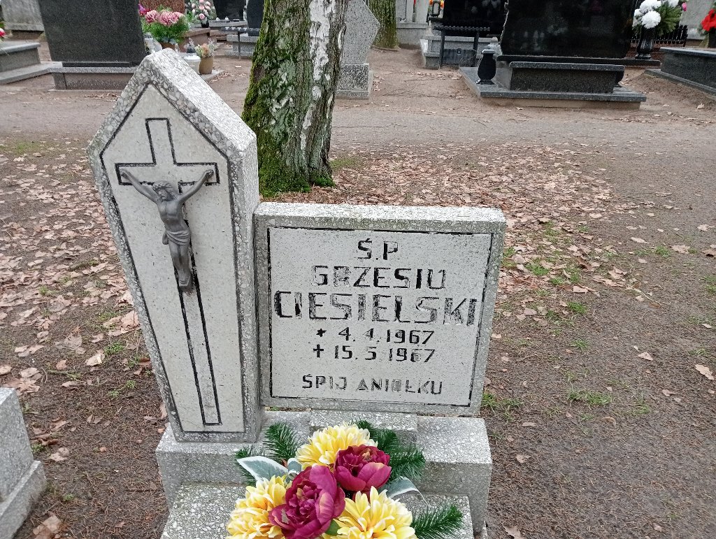 Grzegorz Ciesielski 1967 Pakość - Grobonet - Wyszukiwarka osób pochowanych