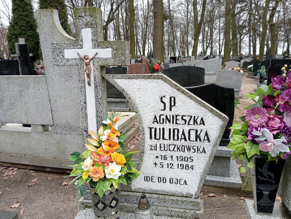 Agnieszka Tulibacki 1905 Pakość - Grobonet - Wyszukiwarka osób pochowanych