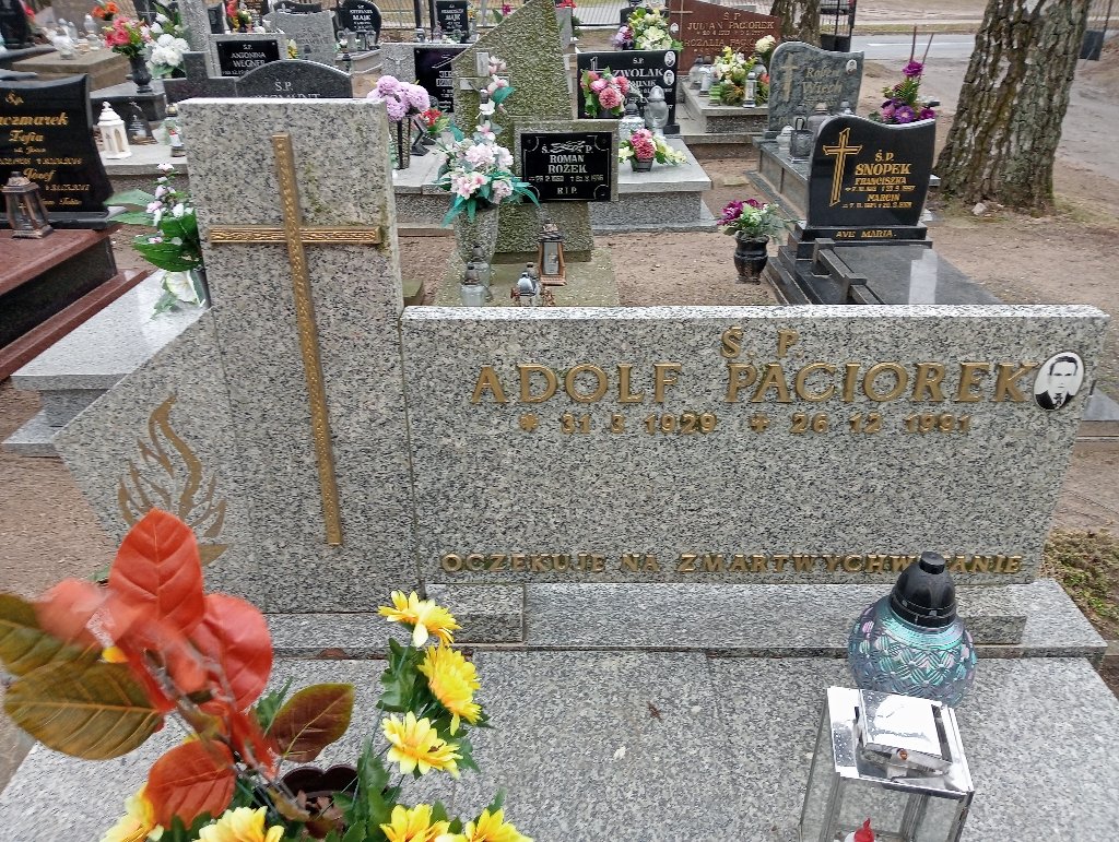 Adolf Paciorek 1929 Pakość - Grobonet - Wyszukiwarka osób pochowanych